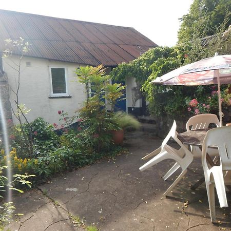 The Royal Oak Inn Dunsford المظهر الخارجي الصورة