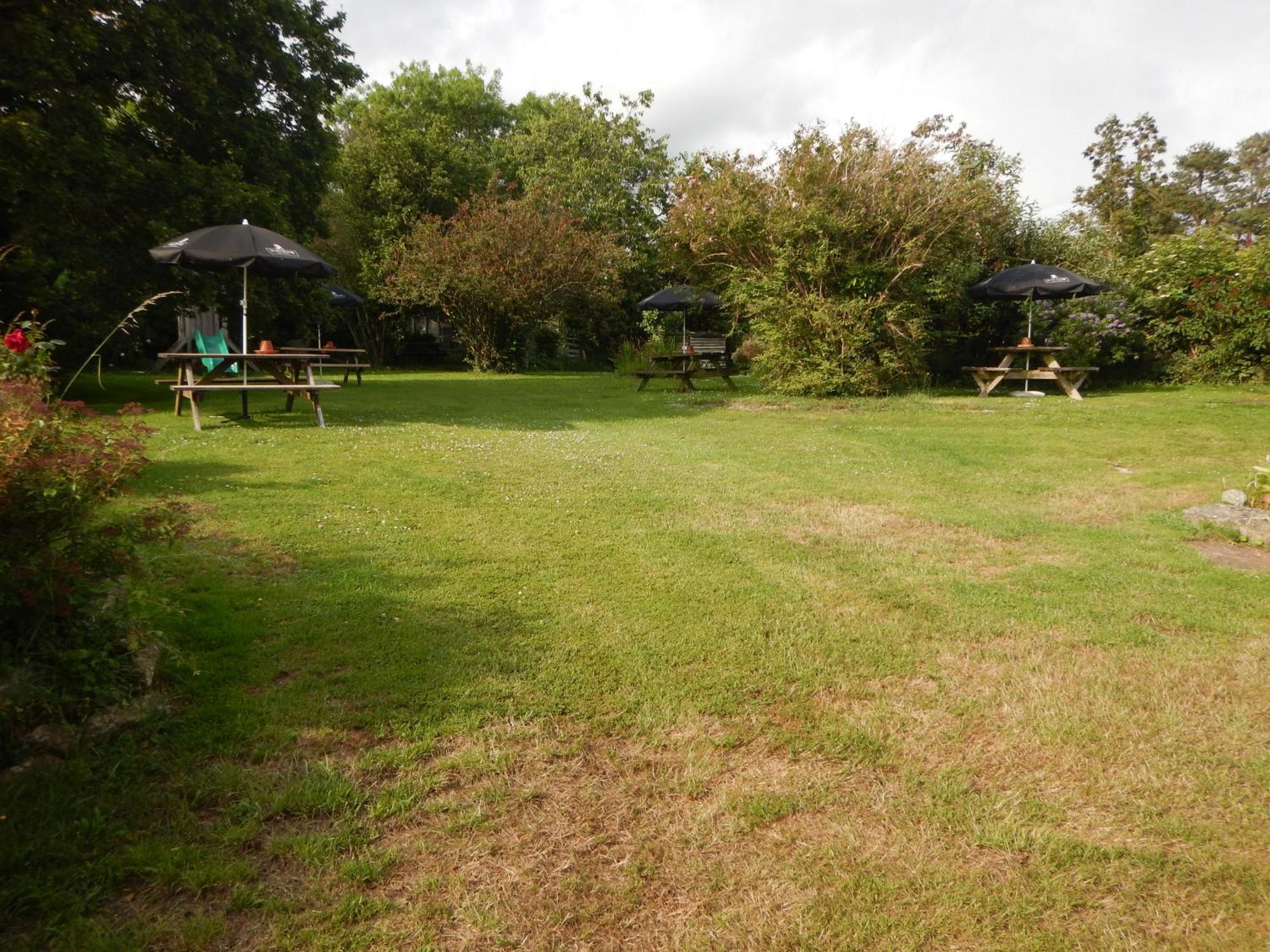 The Royal Oak Inn Dunsford المظهر الخارجي الصورة